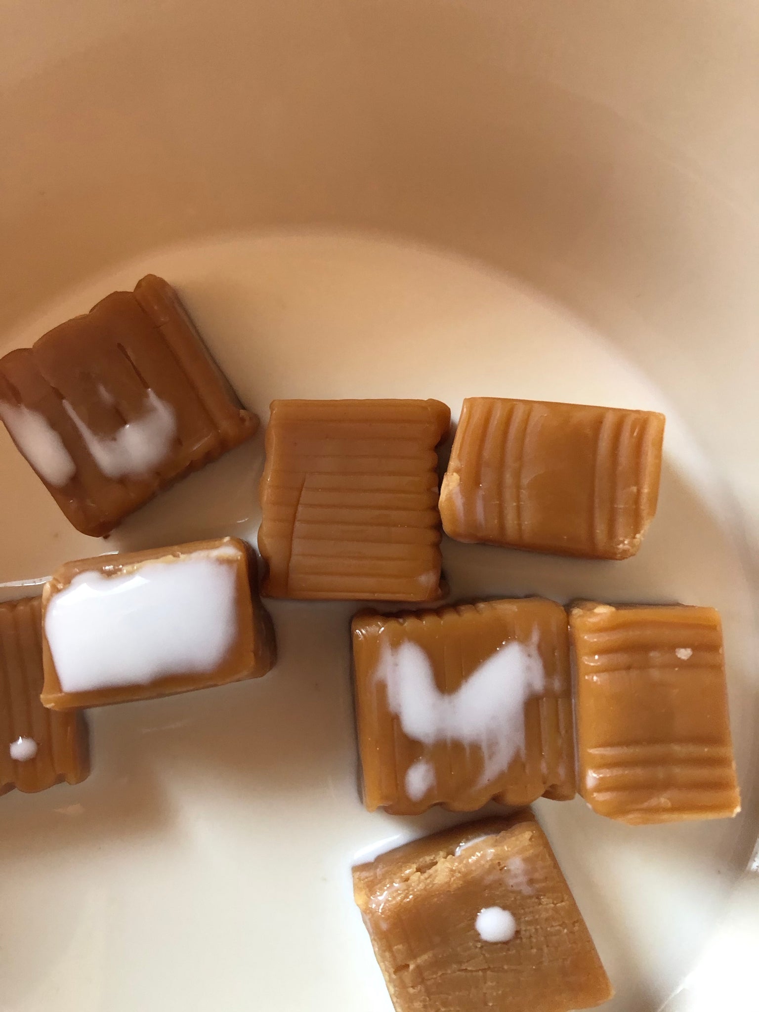 Chocolate Mold - Walnut #934 – Candy Island Chocolate Molds