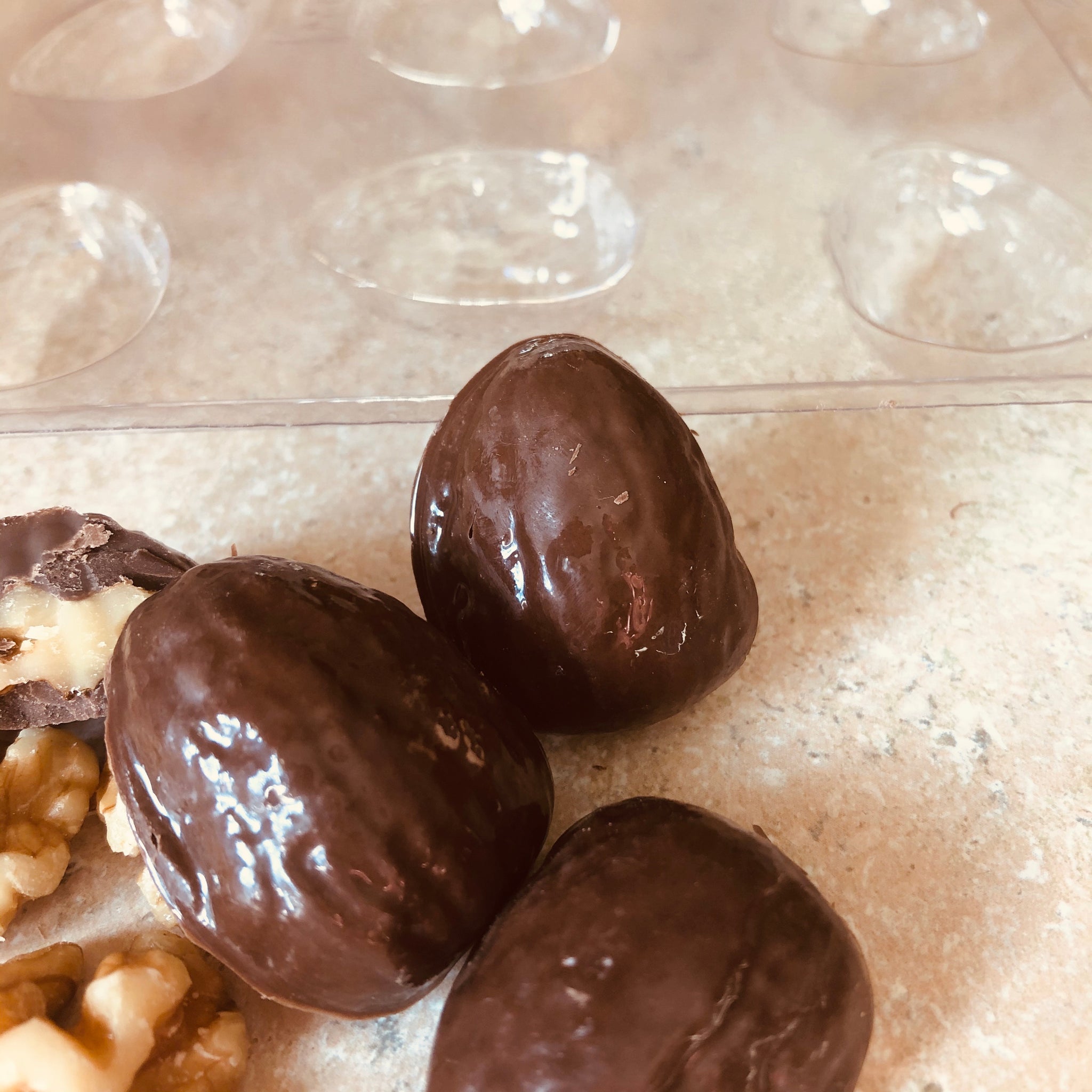 Chocolate Mold - Walnut #934 – Candy Island Chocolate Molds